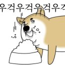 원카츠(대신) 네이버블로그