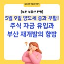 대8으뜸부동산공인중개사사무소 | [부산 부동산 전망] 5월 9일 양도세 중과 부활! 주식 자금 유입과 부산 재개발의 향방
