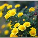 공감퍼스트 이미지