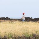 국립종자원전북지원 이미지