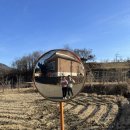 청년다방(덕정점) | 22. 2. 일상 모음집: 3월부터 갓생살자!