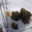 홍천농장 이미지