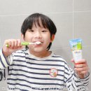 아이들이 즐겁게 양치하는 비법! 알비스 어린이 치약 리뷰