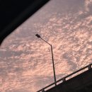 세븐일레븐(S여의나루)