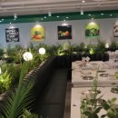 246-운정3-246 이미지