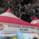 여좌천거리 | 진해군항제 후기) 주차정보, 중원로터리 먹거리 여좌천 벚꽃 리뷰 추천