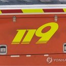 아산굼벵이