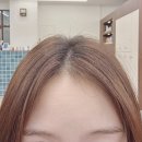힐즈헤어 | 경산 미용실 추천 하운드헤어 중산 펜타힐즈점 뿌리염색 수분케어 후기