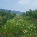 덕곡농장 이미지