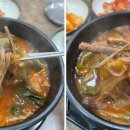 명랑식당 이미지