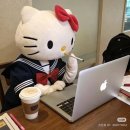키티 이미지