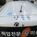 평화광고기획 이미지