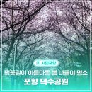 덕수공원(충혼탑부근) | 포항 덕수공원, 벚꽃길이 아름다운 봄 나들이 명소