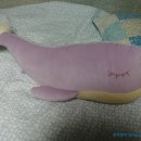 홈패션 입문초급 이미지