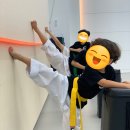 동탄 청림태권도장 | [학원 셔틀정보] 동탄 청림 태권도장