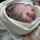 동호상사 | "육아휴직이요? 좋은 직장 다니시네요!"