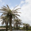 슬림호텔 이미지