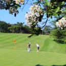 엘리시안 제주 골프연습장 이미지