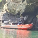 테우안경 이미지