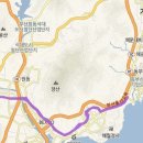 동신스폰지 이미지
