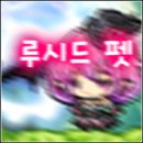 루시드펫