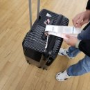 인천-나고야 OZ122/OZ123 아시아나항공 탑승 후기 + 25년 3월 인천공항 주말 새벽 혼잡도