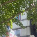 효자낙지마당 이미지