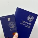 [여행] 대학생 필리핀 세부 6박 7일 찐자유여행 (+모알보알&amp;캐녀닝&amp;고래상어, 현지삐끼 흥정비용...