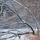 강서한강공원 이미지