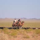 오아시스 목장 이미지