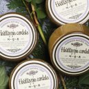 허브트리HerbTree
