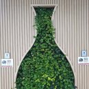 좋은영농조합법인 이미지