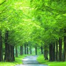 경상남도수목원(수생식물원) 이미지