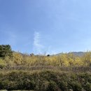 지리산 계곡 노아펜션 이미지
