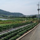 복룡경로당 이미지