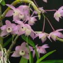 석곡농장 이미지