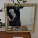 그린코아안경부 | 18w - 20w 기록 : 임산부 구토 피, 임신 중기 증상, 20주 정밀초음파