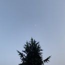 구구슈퍼 이미지