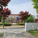 제9호 어린이공원 티스토리