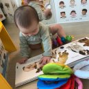 해인농장 | Matthew Van Fleet Animal Trio (매튜 반플릿 보드북 애니멀트리오) 내돈내산 후기