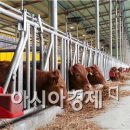 부평리축사 이미지