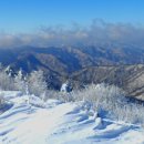 강원관광대우2 이미지