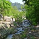 내린천순대 이미지