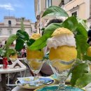 이탈리아를만나다 이미지