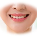 이,정치과 네이버블로그