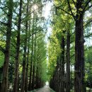 빛가람동물병원 이미지