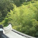 유천헌(柳川軒) | 전주 녹균정(綠筠亭)