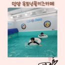 밀양 | 밀양키즈카페 몸만 가면 되는 옥토넛풀키즈카페 밀양점 내돈내산 솔직후기