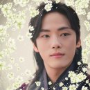 포스트다다 이미지