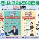 웰니스 네이버블로그